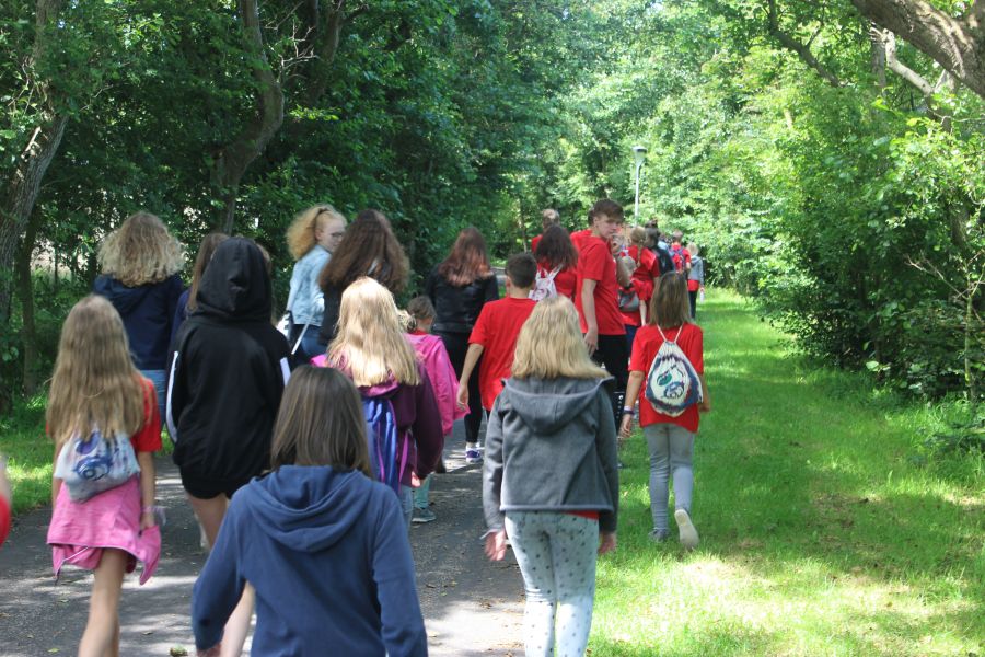 IMG_8821 IMG_8821