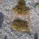 IMG-20230721-WA0172