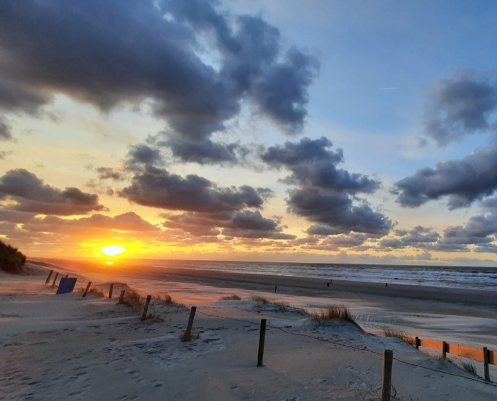 Screenshot 20220413 144041 Gallery