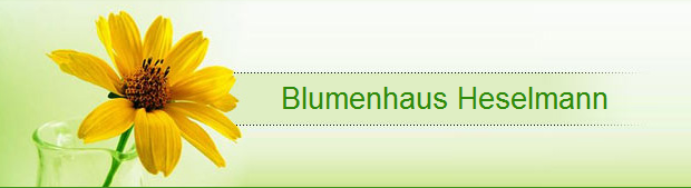 blumen heselmann
